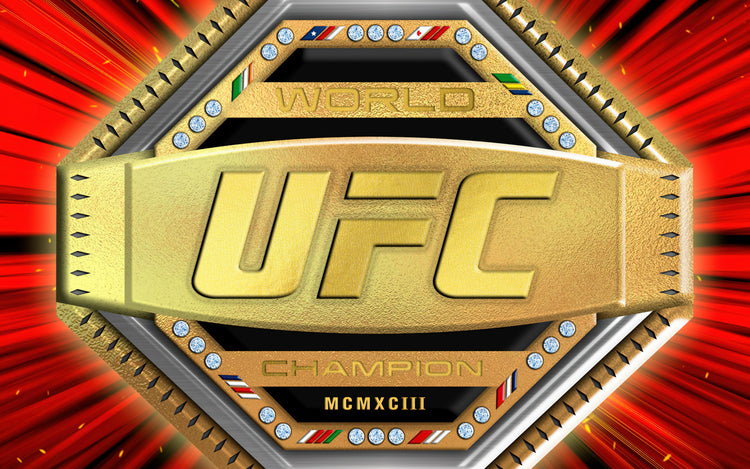 ULTIMATE FIGHTING CHAMPIONSHIP -UFC