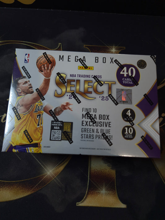 2024/25 Panini Select Mega Box (Private Break)